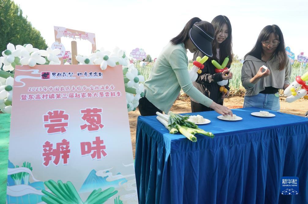 威斯尼斯娱乐